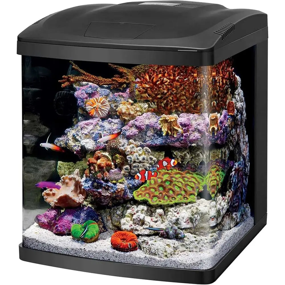 BioCube Aquarium Kit With Customizable LED Lighting