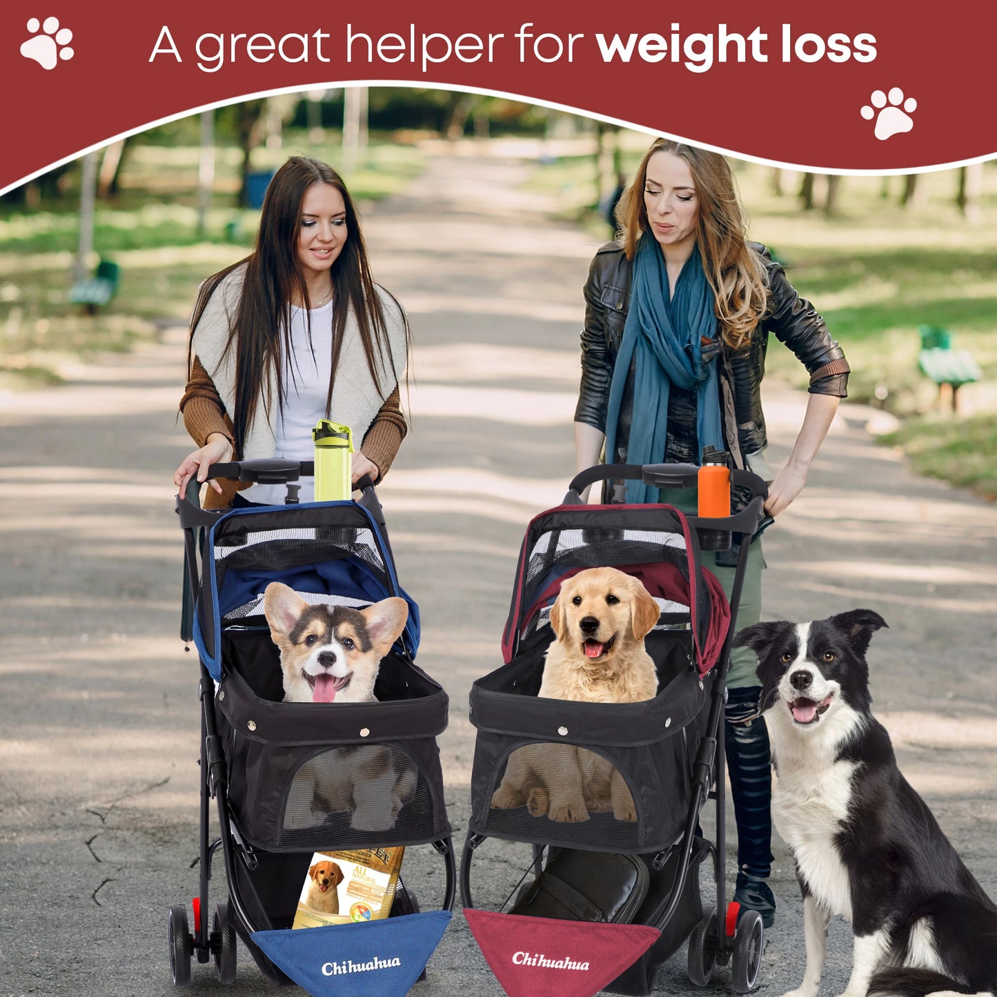 Chihuahua Foldable Pet Stroller for Cats and Dogs Three Wheels