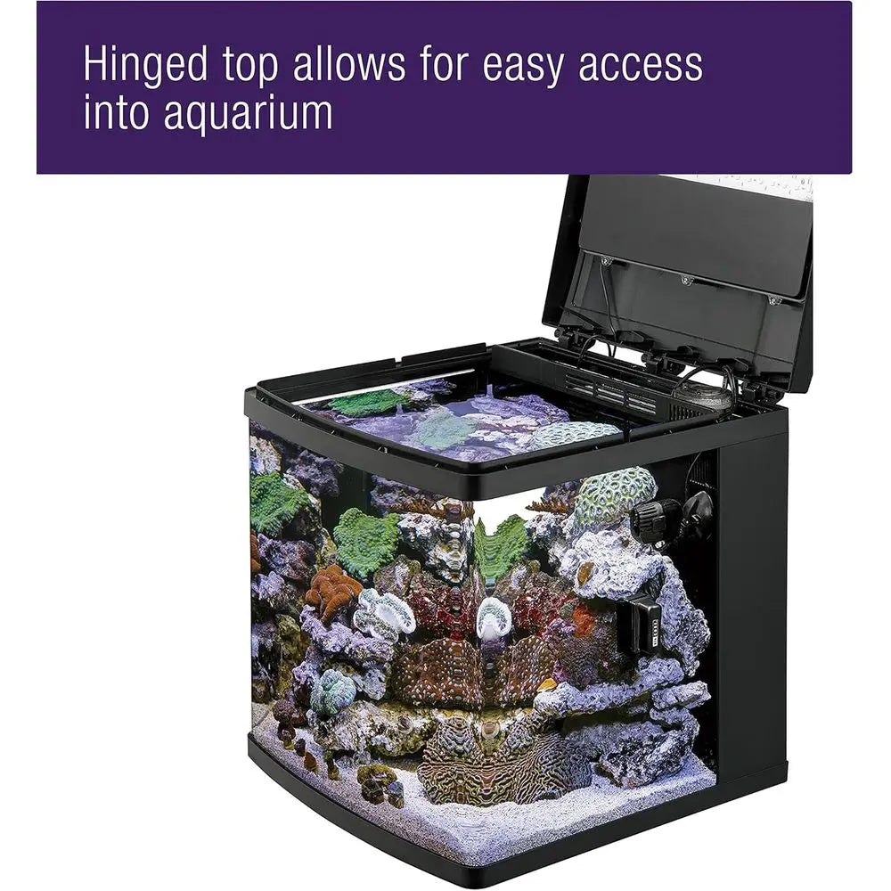 BioCube Aquarium Kit With Customizable LED Lighting