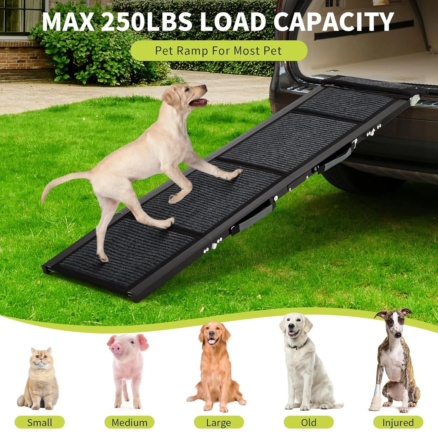HiMISSDog Car Ramp For Large Dogs With Non Slip Surface