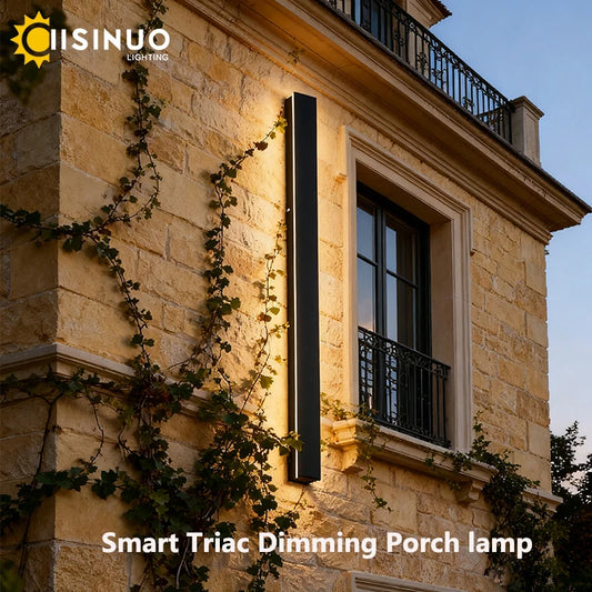 IISINUO Outdoor Porch Wall Light Stainless Steel IP67 Waterproof Dimmable