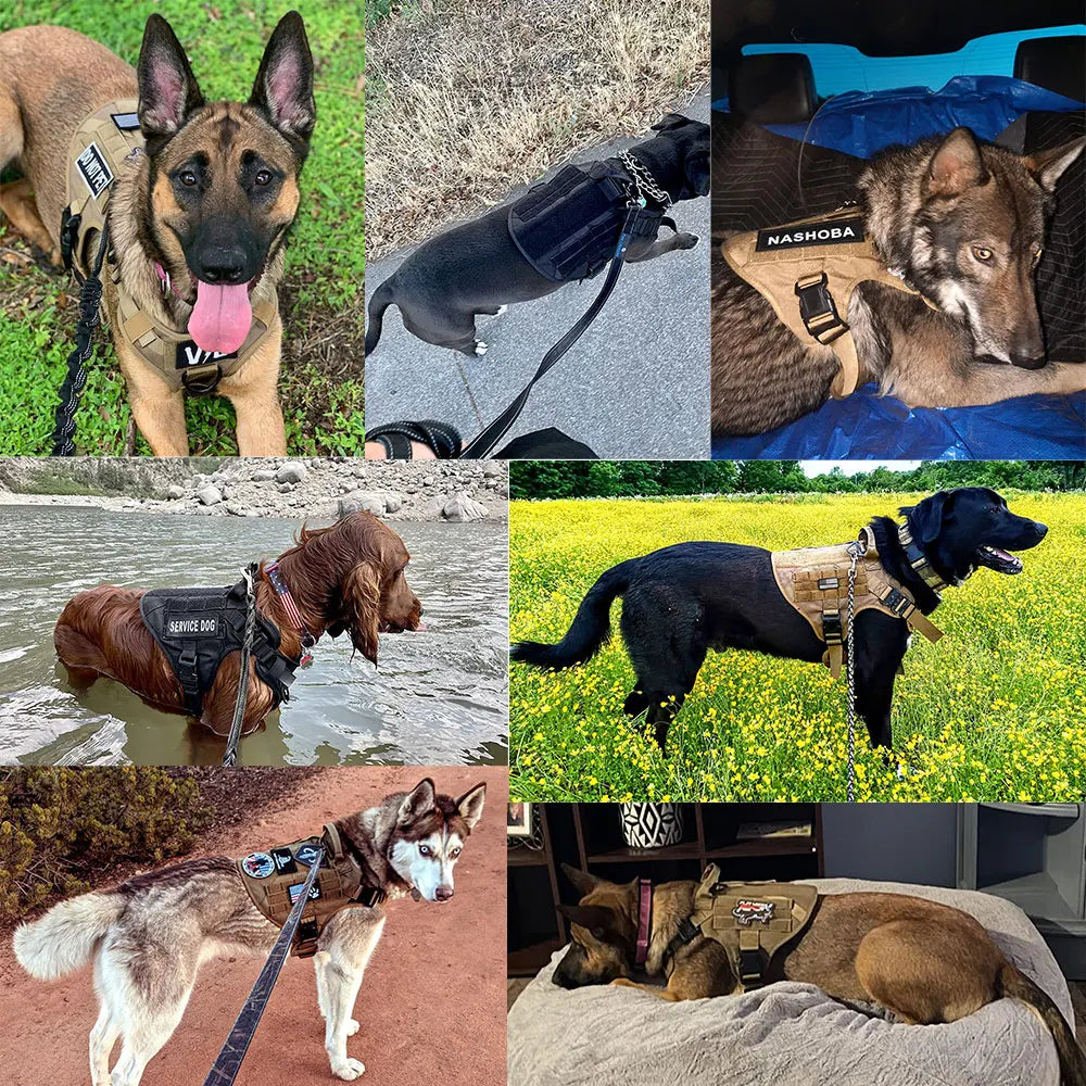PETRAVELCN Padded Vest Harness Leash For German Shepherd Malinois