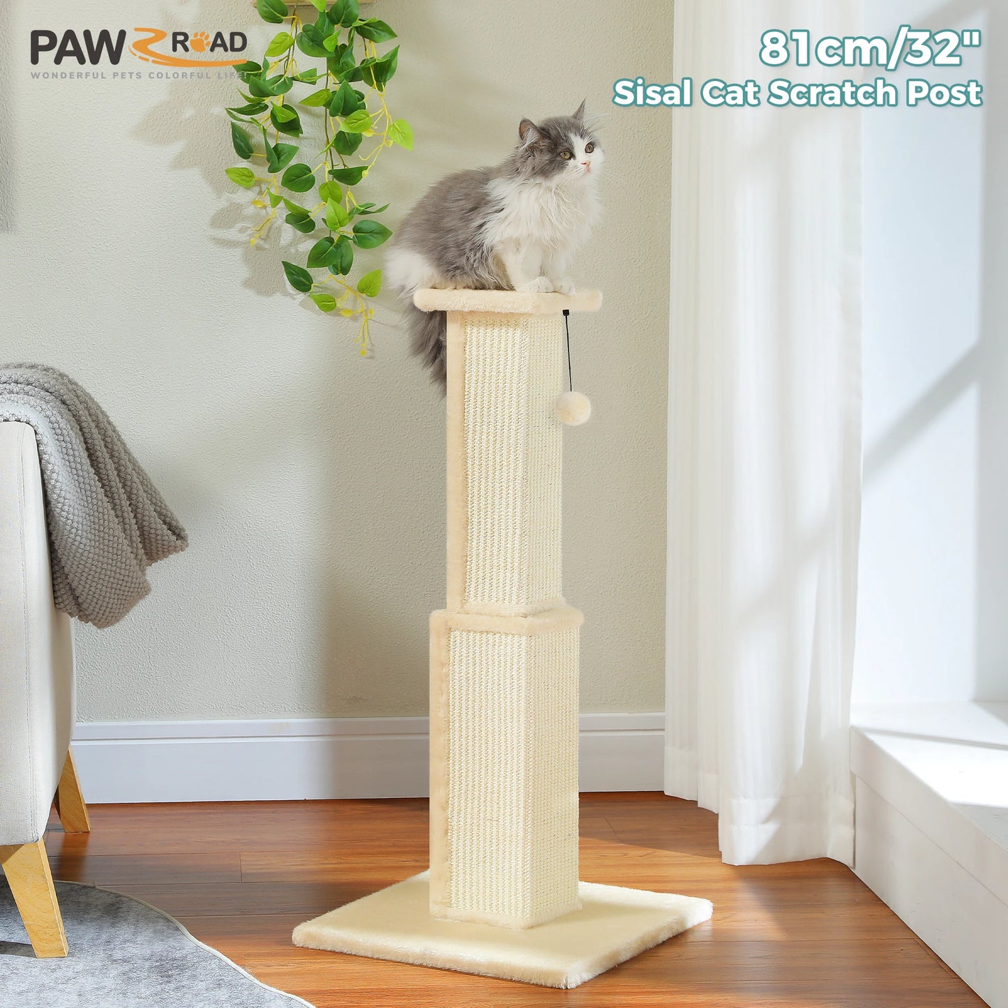 PAWZ Road Cat Scratching Post For Indoor Cats With Sisal Ball